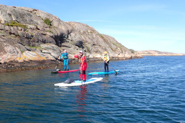 SUP-paddlare Grönemad klippor